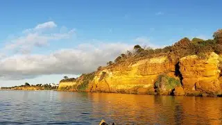 Kayak from Ricketts Point to Mordialloc