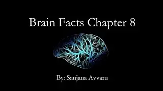 Adult and Aging Brain (Brain Facts Chapter 8)