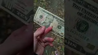 наращивая неприкасаемый запас. купил 10 долларов #доллар #долар #dollar