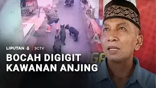 Bocah Digigit Kawanan Anjing | Liputan 6