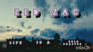 Zed Zac - Life is a rolocoaster (Official Audio)