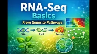 Основы секвенирования РНК (RNA-Seq) для начинающих | Понимание физиологии и метаболических путей ...