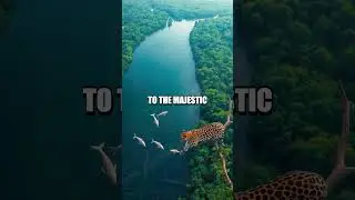 The Amazon's Life Force: A Tapestry Under Threat