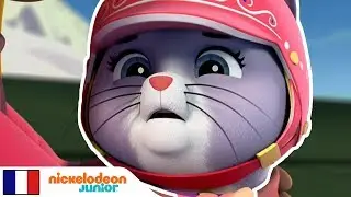 Paw Patrol : la Pat'Patrouille | Coinc&eacute;es en haut ❄️| Nick Jr.