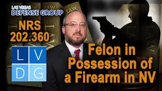 10 types of people who cannot legally own guns in Nevada