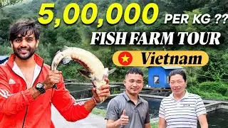 Vietnam Fish Farming tour | Learn Fish Farming Business
