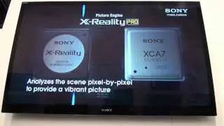 X-Reality PRO Engine