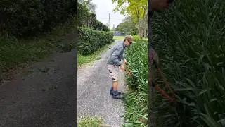 Ordinary Mess Becomes Unexpectedly Watchable? #cleaning #viral #relatable #satisfying