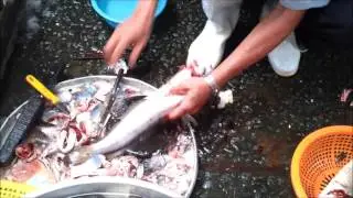 How to Clean a Snakehead Fish - The Vietnamese Way