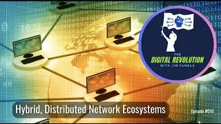 Hybrid, Distributed Network Ecosystems