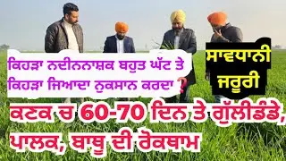 ਕਣਕ ਚ 60-70 ਦਿਨ ਤੇ ਗੁੱਲੀਡੰਡਾ ਤੇ ਹੋਰ ਨਦੀਨਾਂ ਦੀ ਰੋਕਥਾਮ Weed control at 60-70 days in wheat crop 
