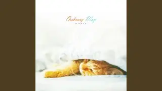Ordinary Way