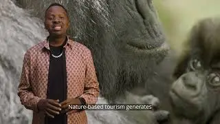 Wild Africa Ambassador Gabiro Guitar Encourages Us To Stop Poaching!
