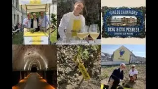 Viaggio WineNews tra i vigneti della regione-icona delle bollicine mondiali: la Champagne.