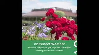 4️⃣  Reasons why Spring is the best time for Home Sellers