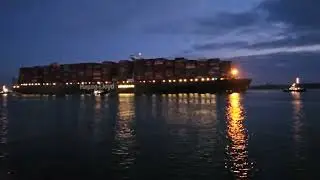 400m Al Muraykh arrives fully loaded from the far east