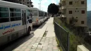 رحلة طائر الفينيق إلى صافيتا
