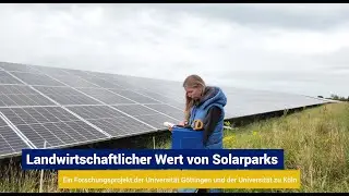 Forschung im Solarpark - was ist der landwirtschaftliche Wert der Biomasse in PV-Freifl&auml;chenanlagen?