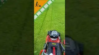 Tonte du gazon avec la tondeuse &agrave; gazon thermique tract&eacute;e GeoTech PRO S53-225