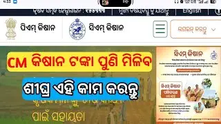 Cm kisan yojana new update 2025 | cm kisan big update odia 2025 | cm kisan yojana updates 2025