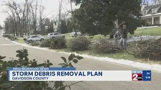NDOT launches countywide storm brush removal plan