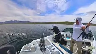 Crowley Lake, CA. Trout Fishing.