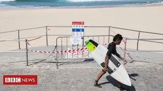 Should surfing still be happening?  - Latest News