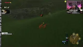 | Link&rsquo;s Awakening and Baking. | Legend of Zelda: BoTW | Crowd Control |