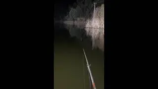 Calm Your Mind, Fish Better Live｜心を落ち着けて、より良い釣りをライブ｜静心，钓得更好｜ 2026-01-18 21:21:30