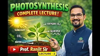 Class 11 Biology - Photosynthesis | Lecture 2 |  Light Reaction Explained