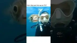 underrated memes 🤣🤣 part-2 #funny #funnyshorts #memes #hilarious