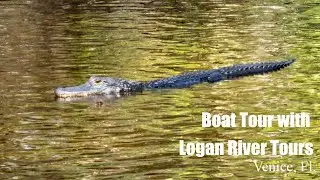 Boat Tour with Logan River Tours at Snook Haven in Venice, Florida
