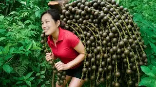 Harvesting Wild Nipah Palm Fruits | Strange Peeling Technique & Rare Seeds Sold Out At Market
