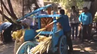 Human powered juicer