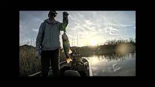 Lake Skinner 02092026