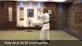 Kata de jo de 20 movimientos