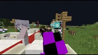 2b2t and 2bau!