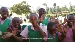 For a greener, more equal future | Project for Awesome 2025