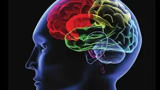 Part 8 - Schizophrenia Education Series - Family Members