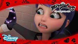 MARINETTE AKUMALANACAK MI?? 😮😱| Mucize: Uğur B&ouml;ceği ile Kara Kedi | @DisneyPlusTR