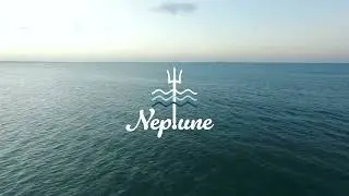 Neptune - Video Explainer