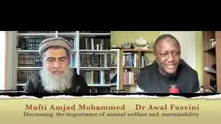 The Halal Food Podcast with Mufti Amjad Mohammed   The Halal Food Podcast