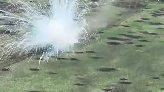 Meat Wave Attack No 230025