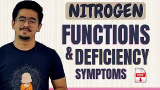 NITROGEN FUCTIONS AND DEFICIENCY SYMPTOMS  IN PLANTS #soilscience #agriculture #agronomy