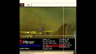 Most Advanced Runescape 2007 Bot and RS3 Every skill working with Commentary