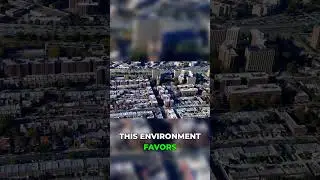 Недвижимость против рыночного хаоса: непреложная истина!