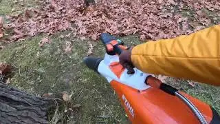 Clean up oak leaves in the backyard. 秋末清除後院滿地橡樹落葉。