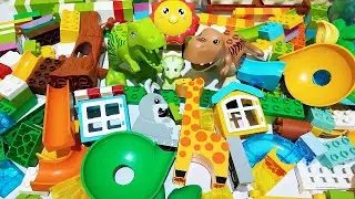 Satisfying Building Blocks Marble Run ASMR 199 Rabbit Seesaw and two House live 1