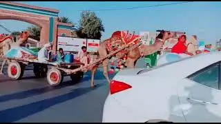 University Chowk + Abbasia Campus IUB Bahawalpur❤️ #iub #university #bwp