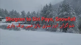 Shogran to Siri Paye offroad snow Jeep travelling 2024 |snowfall|siripaye| #shogran #snowfall